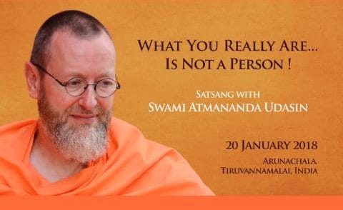 What You Really Are Is Not a Person